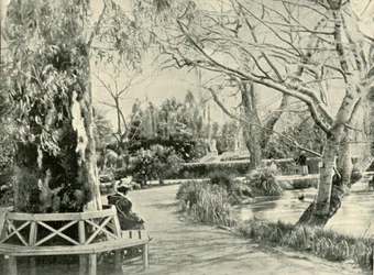 V botanické zahradě, Adelaide, 1901.