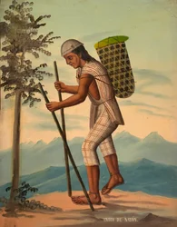 Indio Saparo, před rokem 1914.