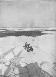 Killing Seals, 1911, 1928