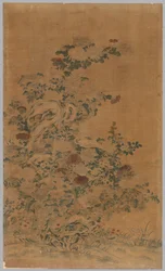 Panel Ko Ssu: Skály a chryzantémy, 1700 - 1800.