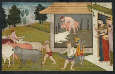 Krišna a Lakšmana Vyvádění dobytka na pastvu, stránka z Bhágavata Purány, c. 1780-1790.