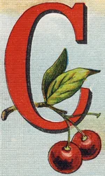 Písmeno C: třešně. Rytina "Alphabet de ma petite fille". Bernardin-Bechet a Fils, knihkupci-nakladatelé, Paříž, kolem roku 1895. Nerozbitné album na plátně. Bibliotheque des Bebes. 12 stran. Album obsahující metodu čtení a názorné abece