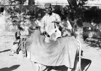 Muž s deformovanou krávou, Indie, 1916-1917