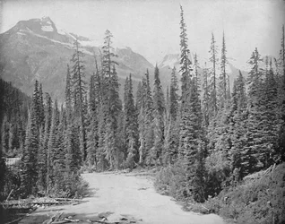 Mounts Cheops and Hermit, Selkirk Range of the Rockies, c1897.