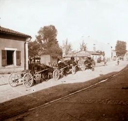 Muly se zásobami, Verdun, severní Francie, c1914-c1918