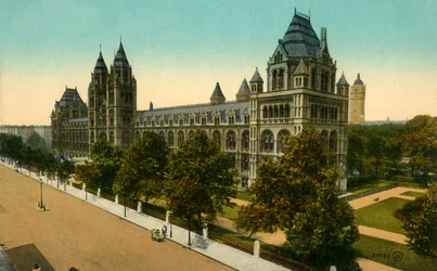 Natural History Museum, Londýn, c1910.