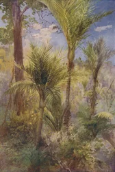 Les Nového Zélandu, 1924