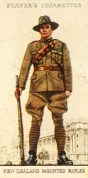 Novozélandské pušky, 1936.