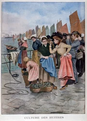Prodejce ústřic, 1902