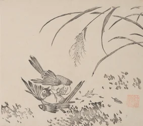 Stránka ze Shi Zhu Zhai