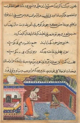 Stránka z Příběhů papouška Tuti-nama: Třicátá první noc: Papoušek..., 1558-1560.