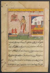 Stránka z Příběhů papouška Tuti-nama: Dvacátá třetí noc: Papoušek oslovuje..., c. 1560.