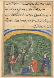 Stránka z Tales of a Parrot Tuti-nama: druhá noc: Strážce ve službě, c1560.