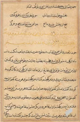 Stránka z Příběhů papouška Tuti-nama: textová stránka, c. 1560.
