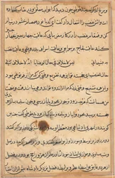 Stránka z Příběhů papouška Tuti-nama: textová stránka, c. 1560.