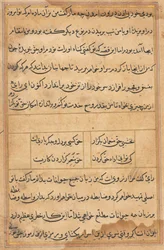 Stránka z Příběhů papouška Tuti-nama: textová stránka, c. 1560.