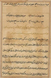 Stránka z Příběhů papouška Tuti-nama: textová stránka, c. 1560.