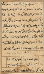 Stránka z Příběhů papouška Tuti-nama: textová stránka, c. 1560.