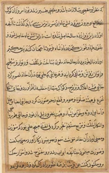 Stránka z Příběhů papouška Tuti-nama: textová stránka, c. 1560.
