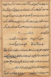 Stránka z Příběhů papouška Tuti-nama: textová stránka, c. 1560.