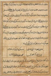 Stránka z Příběhů papouška Tuti-nama: textová stránka, c. 1560.