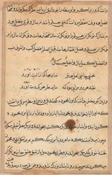 Stránka z Příběhů papouška Tuti-nama: textová stránka, c. 1560.