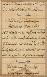 Stránka z Příběhů papouška Tuti-nama: textová stránka, c. 1560.