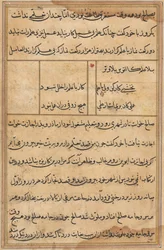 Stránka z Příběhů papouška Tuti-nama: textová stránka, c. 1560.