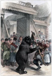 Představení medvěda v ruské vesnici, 1877