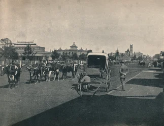 Pietermaritzburg, 1900.
