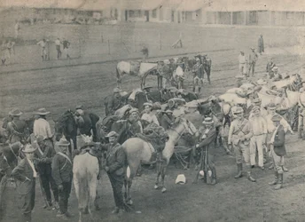 Instalatérský kůň, c1900.