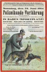 Demonstrace policejních psů v Badenu, 1914.