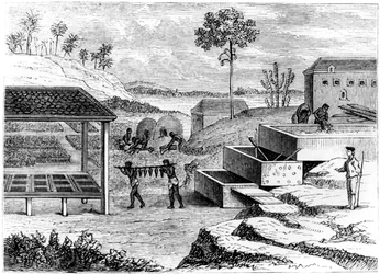 Příprava indiga, Santo Domingo, 1873
