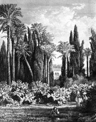 Knížecí zahrada v Káhiře, Egypt, 1880