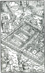 Výroba soli odpařováním mořské vody v solných pánvích, 1556