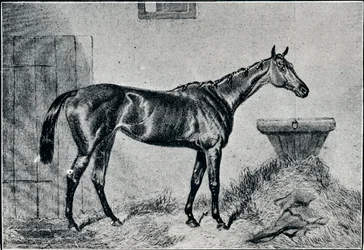 Queen Bertha, 19th century, 1911