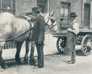 Inspektor RSPCA vyšetřující koně, c1903 1903