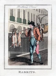 Rabbits, Portland Place, Londýn, 1805