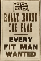 Rally Round the Flag: Every Fit Man Wanted, 1914, 1935.