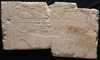 Reliéf mužů přinášejících ptáky a dobytek, c. 2311-2281 před naším letopočtem.