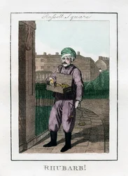 Rebarbora, Russell Square, Londýn, 1805