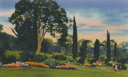 Rock Garden, Trinidad, B.W.I., c1940.