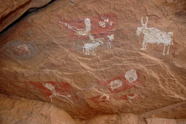 Skalní umění, pravěk: Skalní malba skupiny dobytka a ovcí ve zdobeném přístřešku v masivu Uweinat v Súdánu (Karkur-Talh nebo Karkur Talh). Období od 8000 do 3000 let před naším letopočtem. Fotografování