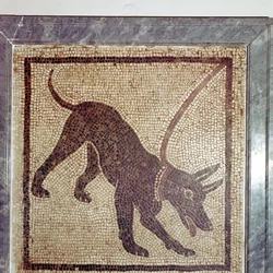 Římská mozaika psa, Cave Canem, Pompeje, Itálie