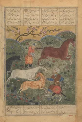 Rustam zajme koně Rakhsh, Folio ze Shahnama Book of Kings..., konec 15. století.