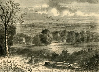 Místo Crystal Palace v roce 1852, c1878.
