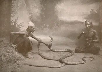 Zaříkávače hadů s Hamadryads Kuy Cobras, 1900.