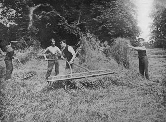Vojáci pomáhající farmářům při nabírání sena, 1915