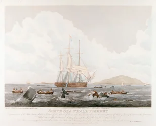 Rybolov velryb jižních, 1825