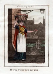 Strawberries, Covent Garden, Londýn, 1805